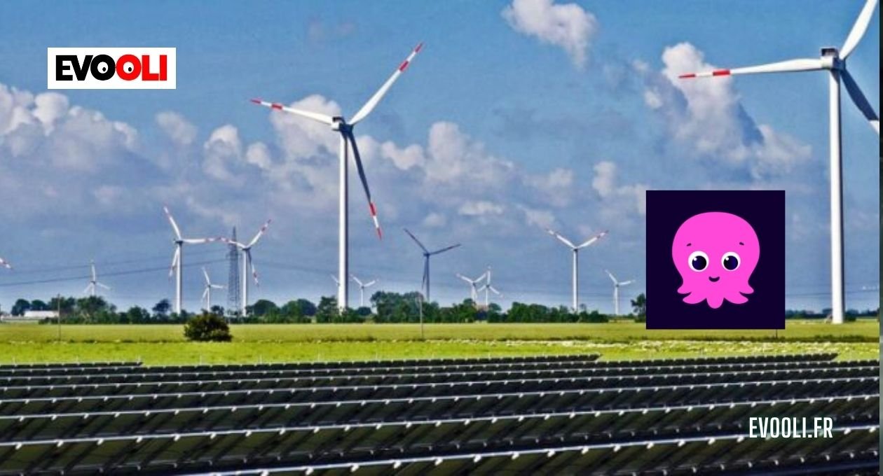 Octopus Energy France
